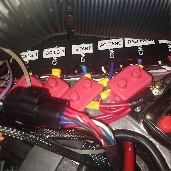 DC 12V - 24V Automatisk Nulstillingskredsløbsafbryder med Dæksel Bolte-På til Bilindustrien osv. - WELLNGS AR 10A