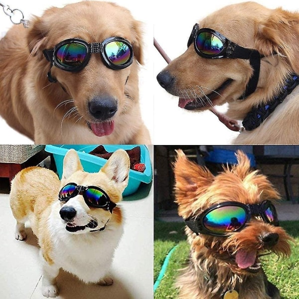Hundglasögon Justerbara remsglasögon för reseskidåkning Vattentätt UV-skydd för hundar (svart) hud