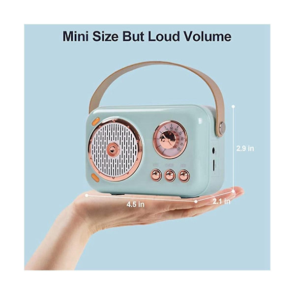 Bärbar Bluetooth-högtalare med mikrofonset, vintage Bluetooth-högtalare med hem (blå) - WELLNGS