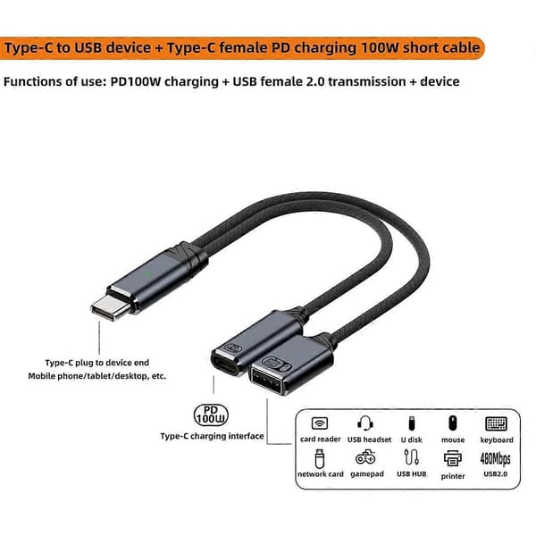USB-C OTG-kabel med PD-ladeport, 2-i-1 Grå-WELLNGS