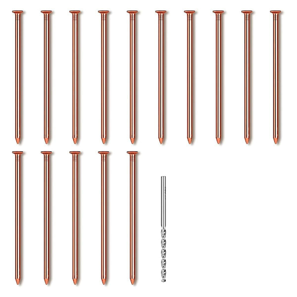 15Pcs Copper Nails for Killing Trees Stump Root, 3.14 Inch Long Pure Copper Nails with Drill, Stump Removal Spikes-WELLNGS 0 0