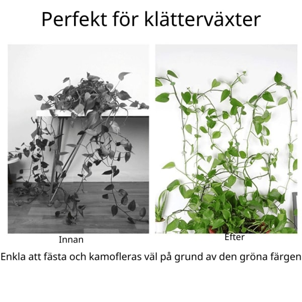 Selvklebende planteholdere - Smarte usynlige planteholdere - WELLNGS 80-Pack