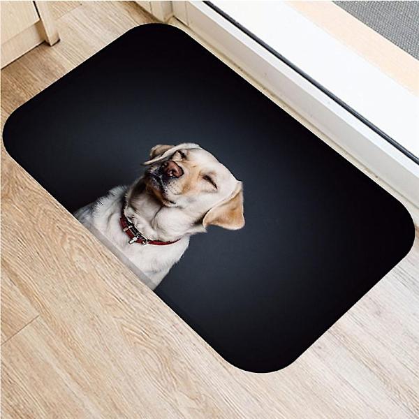 Söt mops husky hundmönster halkfri mockamatta sovrum vardagsrum mjuk golvmatta inomhusmatta heminredning-WELLNGS 3 50x80cm 20x32inch