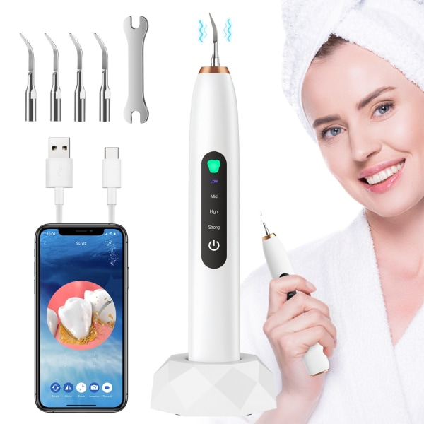 4-växlad smart visuell tandrengörare elektrisk hushållständer rengöringsanordning tandstenborttagningsmedel skönhet dental instrument-WELLNGS