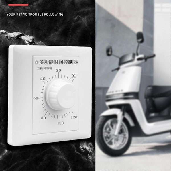 AC 220V Timer Bryter Kontroll Pumpe Mekanisk Nedtelling Kontroll Interruptor-WELLNGS White 60 minutes