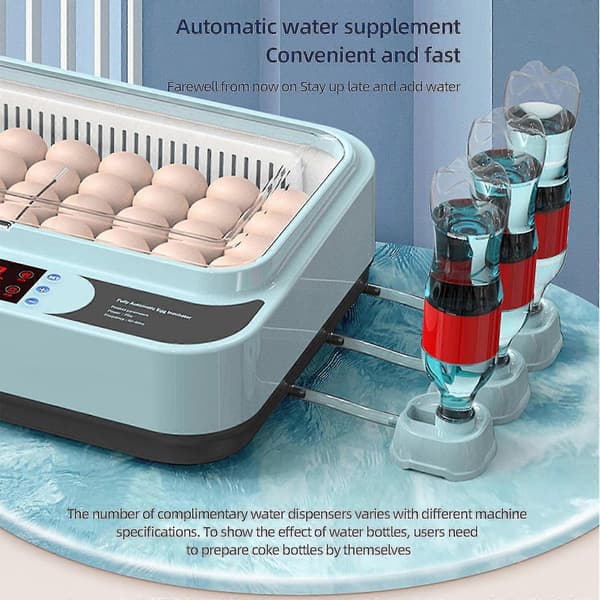Automatisk Eggrugemaskin Kontroller Digital LED Temperaturstyring Temperatur Fuktighetssensor Eggs-WELLNGS 15Eggs