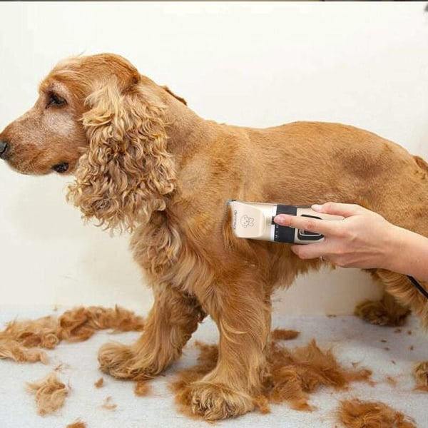 Hårklippare för husdjur, trådlös laddning elektrisk professionell hårklippare-WELLNGS