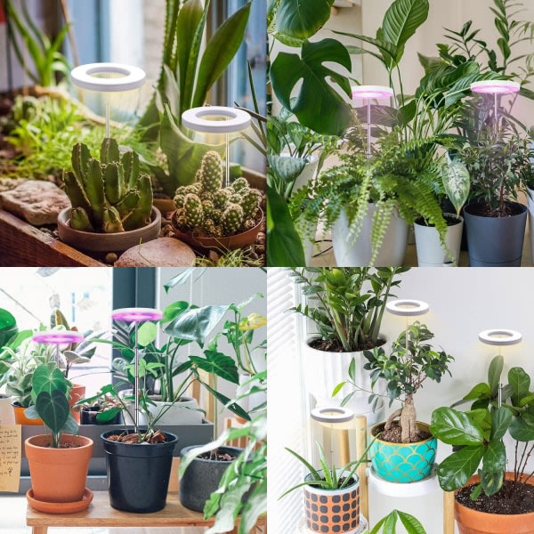 Växtbelysning för krukväxter varmvit/vit-WELLNGS