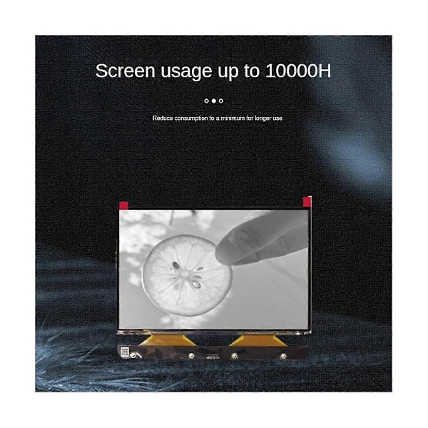 TM089CFSP01 Monokrom LCD 8,9 tum 4K Mono LCD-skärm med 3840X2400 Upplösning LCD-skärm MIPI 50-WELLNGS