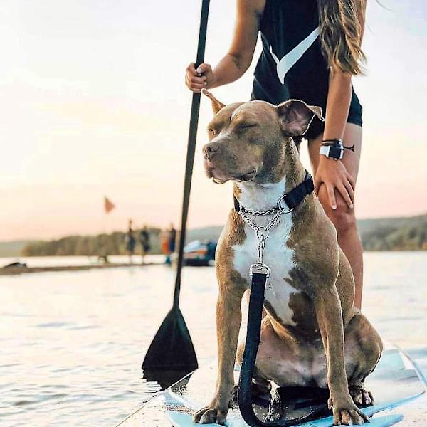 Justerbar Stand Up Paddle Board Paddel med Unik Låsdesign Flytande Legering Skaft Paddleboard Pa-WELLNGS