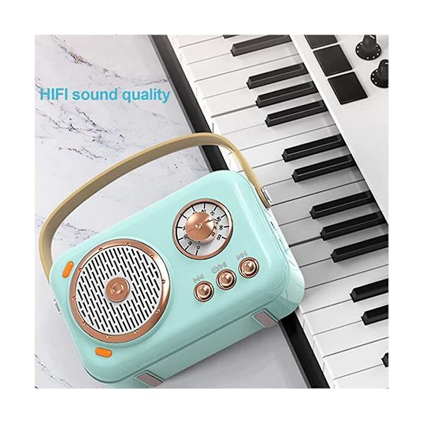 Bärbar Bluetooth-högtalare med mikrofonset, vintage Bluetooth-högtalare med hem (blå) - WELLNGS
