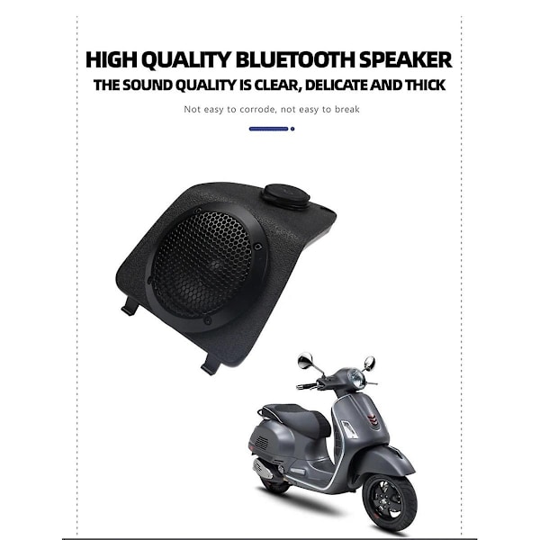 Scooter Musik Lyd Audio Forstärkare Högtalare Horn System USB Laddare för Vespa GTS 300 250 GTS300-WELLNGS