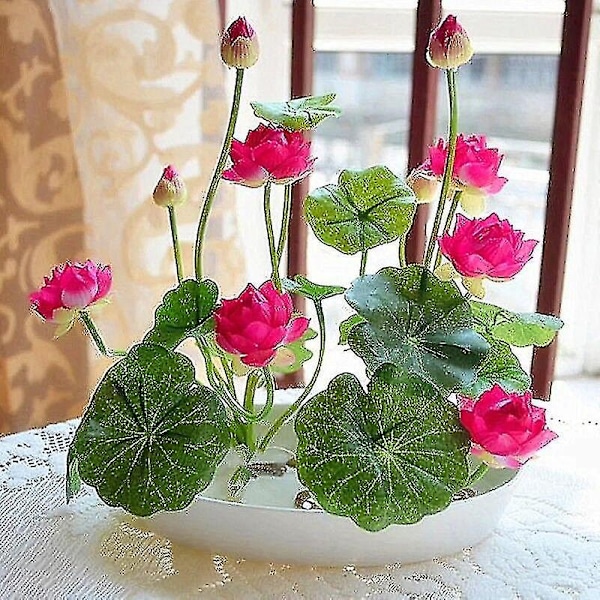 5 stk. Skål Lotus Planter Pot Lotus Vandlilje Blomst-WELLNGS 5pcs-Lotus-NO.MIX