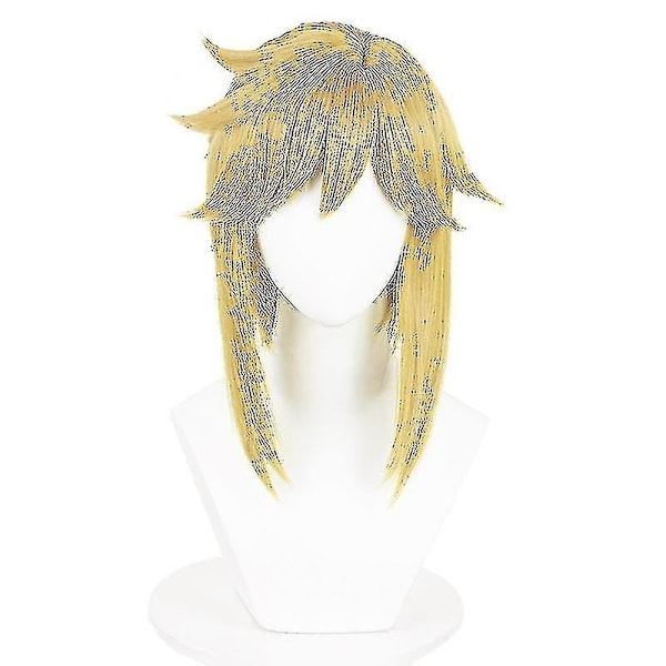 Game Legend Link Cosplay för vuxna och barn Tears Of The Kingdom Kostym Full Set Man Halloween Karneval Kostym-WELLNGS With wig XL