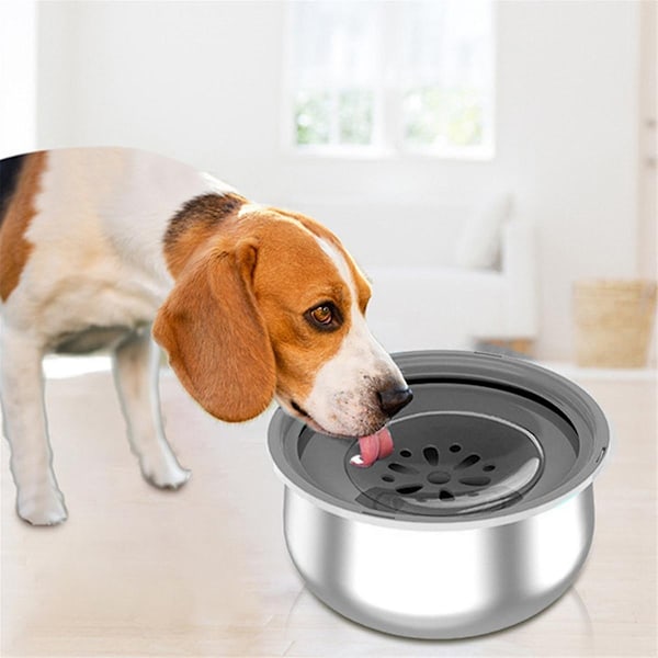 Hunde Vandskål 4,3l Ingen Spild Rustfrit Stål Hundeskåle Langsom Vand Feeder, Spildfri Hunde Vandskål-WELLNGS 0 0