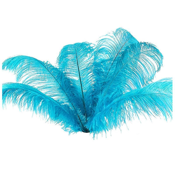 10 pcs Natural Ostrich Feathers Wedding Party Decoration Lake blue 20-25cm-WELLNGS