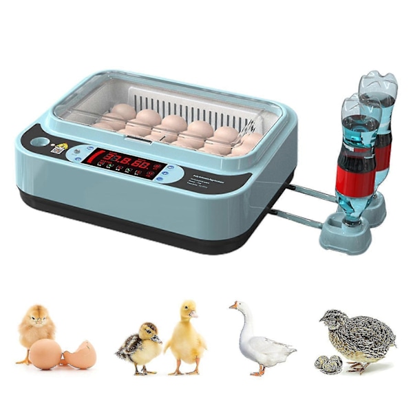 Automatisk Æg Inkubator Controller Digital LED Temperaturstyring Temperatur Fugtighedssensor Æg-WELLNGS 24Eggs