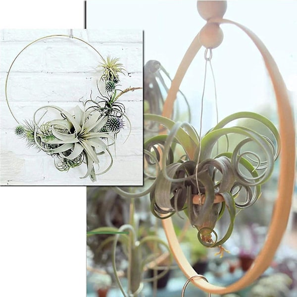 10/12 stk. bambus blomsterkrans, træ krans ring makram krans ringe, drømmefanger håndværk krans ringe til DIY bryllup krans-WELLNGS 10 Pcs 26cm