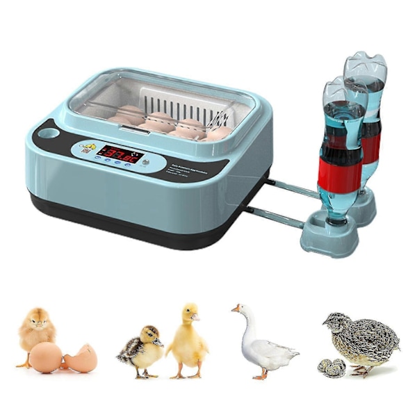 Automatisk Æg Inkubator Controller Digital LED Temperaturstyring Temperatur Fugtighedssensor Æg-WELLNGS 9Eggs