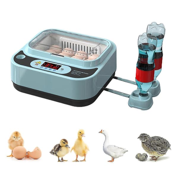 Automatisk Eggrugemaskin Kontroller Digital LED Temperaturstyring Temperatur Fuktighetssensor Eggs-WELLNGS 9Eggs