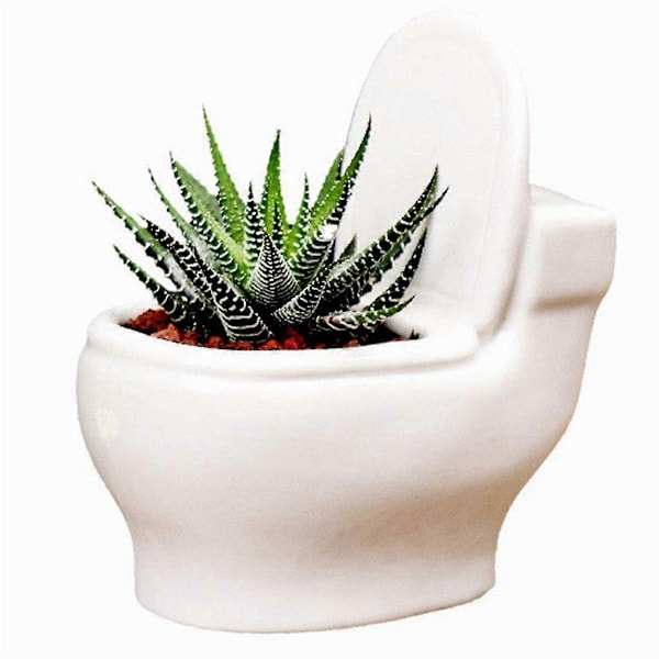 Vit Keramik Blomkruka/Bonsaiplanta/Blomkruka/Suckulentkruka Perfekt Present till Kvinnor och Mammor - WELLNGS