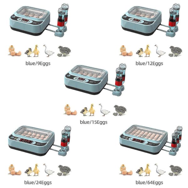 Automatisk Eggrugemaskin Kontroller Digital LED Temperaturstyring Temperatur Fuktighetssensor Eggs-WELLNGS 64Eggs