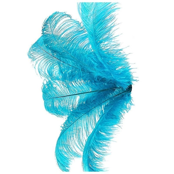 10 st Naturliga Strutspennor Bröllopsfest Dekoration Sjöblå 20-25cm-WELLNGS