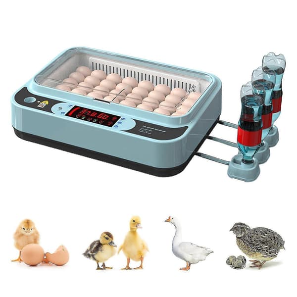 Automatisk Eggrugemaskin Kontroller Digital LED Temperaturstyring Temperatur Fuktighetssensor Eggs-WELLNGS 64Eggs