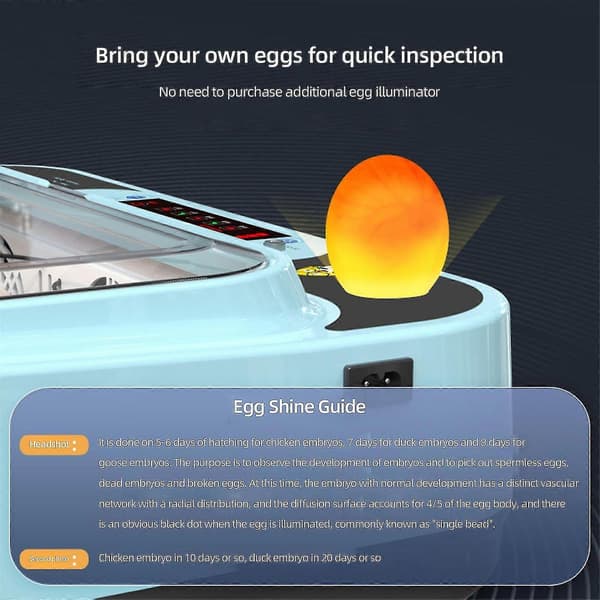 Automatisk Eggrugemaskin Kontroller Digital LED Temperaturstyring Temperatur Fuktighetssensor Eggs-WELLNGS 24Eggs
