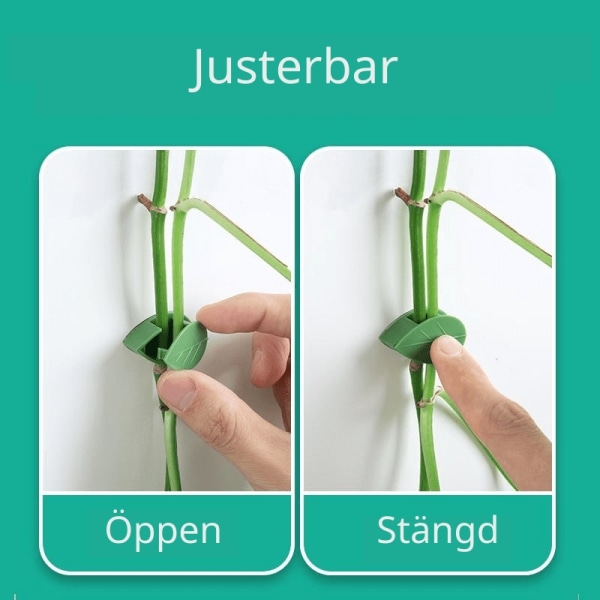 Selvklæbende planteholdere - Smarte usynlige planteclips - WELLNGS 30-Pack