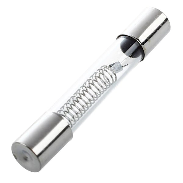 2 st 0,65A 5kV 6mm x 40mm Axial Glasssäkringar för Mikrovågsugn - WELLNGS