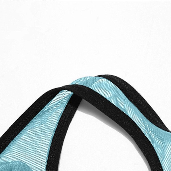 Issilke Mesh Transparent Herrstringkalsonger Herrunderkläder - WELLNGS Sky Blue M