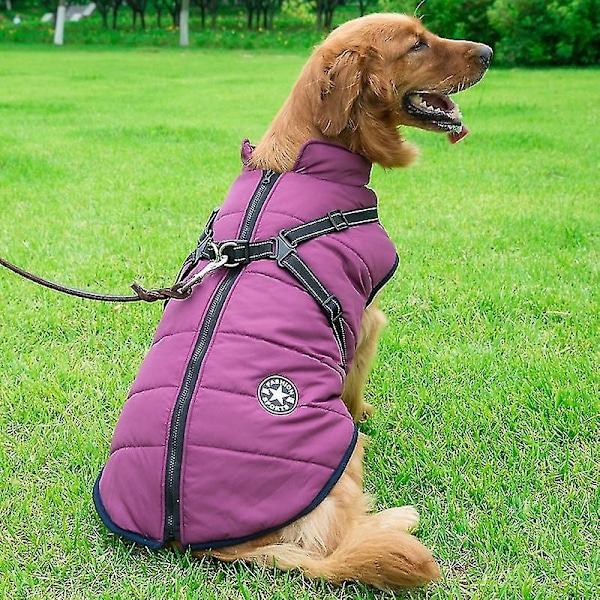 Suuri Koiran Talvitakki Hihnoilla, Vedenpitävä - WELLNGS Purple XXL