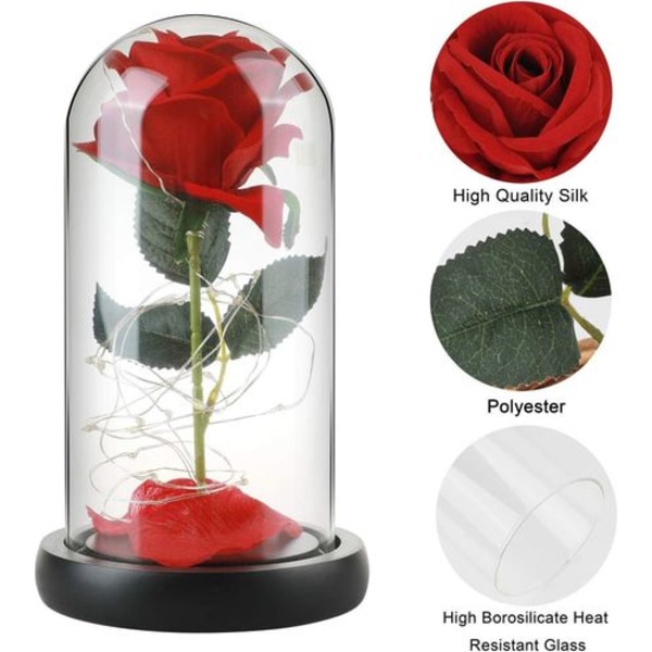 Beauty and the Beast Rose gavesett Glasskuppel kunstig roselampe