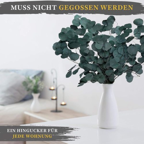 HVID LUKSUS - Eukalyptus som tørrede blomster AN iøjnefaldende - holder for evigt