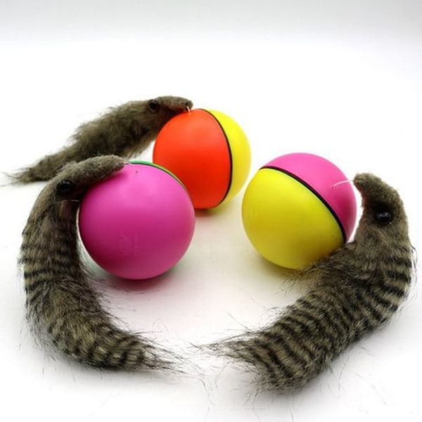Hoppande, rullande boll för hund, katt, bäver, iller, valp och husdjur