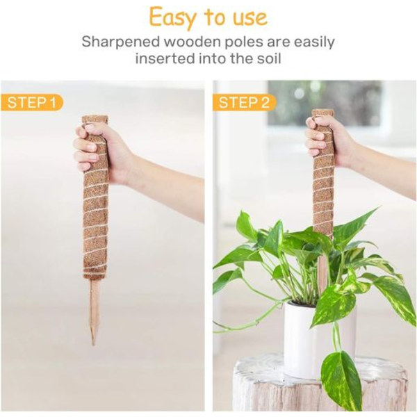 Sammalkeppi, 2 kappaletta 40 cm Monstera kiipeilyapu, jatkettava luonnonmukainen