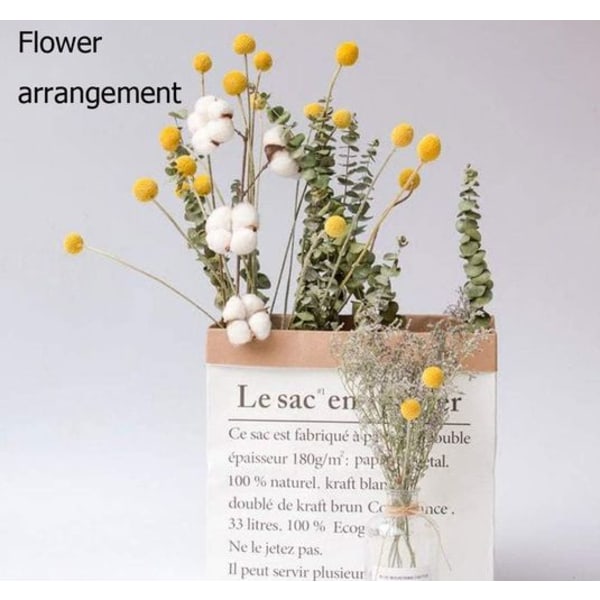 TooGet Naturliga Craspedia Torkade Blommor Gula Billy Buttons Bollar