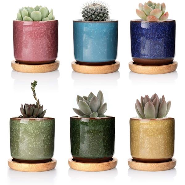 6 cm Zisha keramiska krukor med bambu bricka - 6-pack, suckulenter kaktusblomma