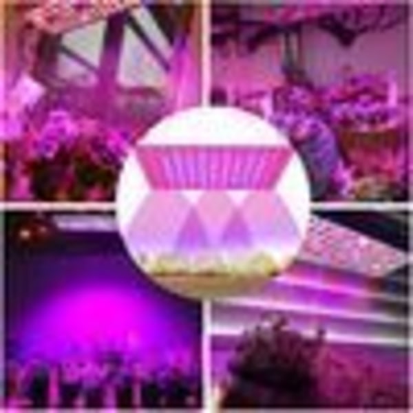 169 LED-kasvien kasvatuslamppu Kasvivalaisin sisäkäyttöön