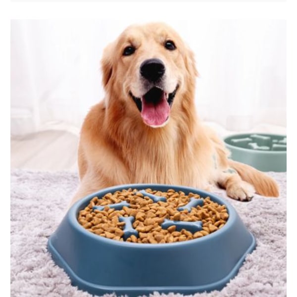 Hundefoder skål