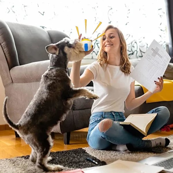 2 st hundboll leksak pipboll hundar pipboll tugga