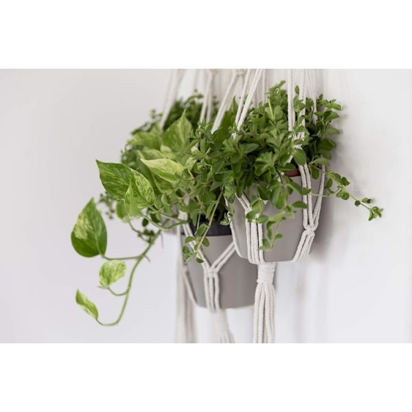 QueHouse Macrame Garn Blomkruka Dekoration - Väggdekoration Boho Blomma