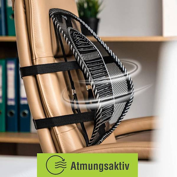 RenFox Lumbar Support Mesh för bil och kontor, ländryggskudde, ryggstöd för kontor