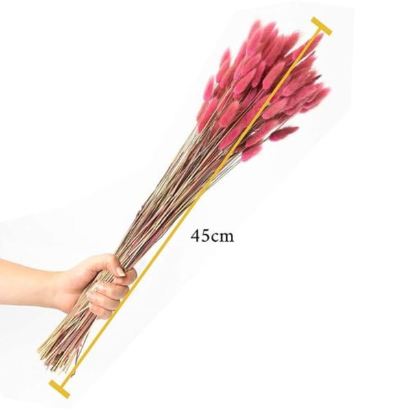 HVID LUKSUS - Lagurus som tørrede blomster EN iøjnefaldende - tørret blomsterdekoration