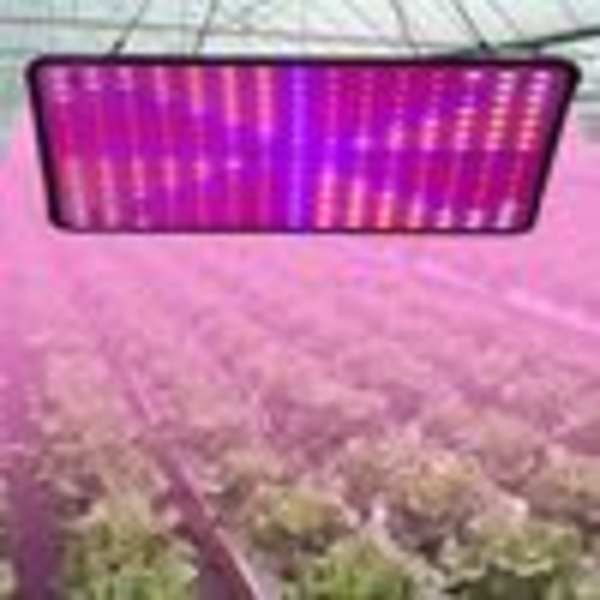 30W 225 LED-kasvilamppu täyden spektrin kasvivalo sisäkasvien kasvatuslamppu