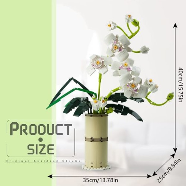 Bukett Byggesteiner, Potteplanter Phalaenopsis Kit, Potteplanter Voksen Plante