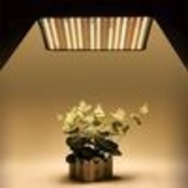 256 LED-kasvilamppu, auringonvalo sisäkasvien kasvuvalaisin, kasvihuone