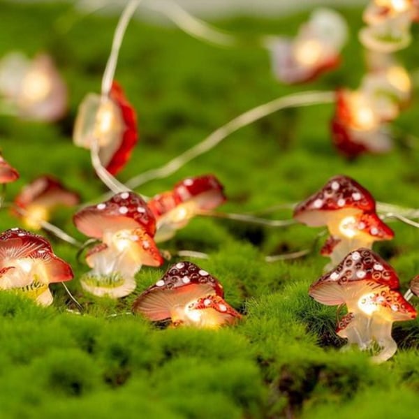Svampe Dekoration LED Lyskæde 10ft 30 LED
