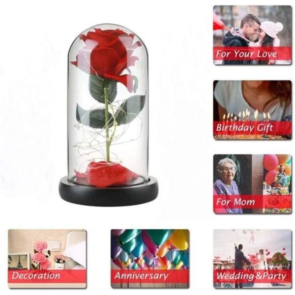 Beauty and the Beast Rose gavesæt Glaskuppel kunstig rosenlampe